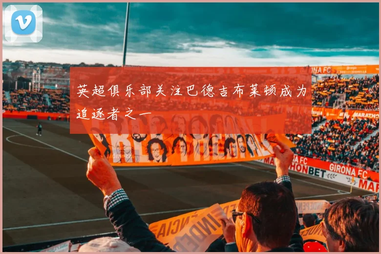 英超俱乐部关注巴德吉布莱顿成为追逐者之一