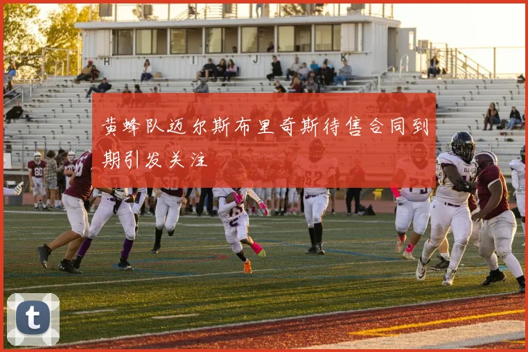 黄蜂队迈尔斯布里奇斯待售合同到期引发关注